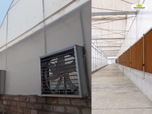 Fan and Pad Cooling System